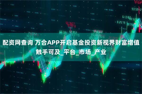 配资网查询 万合APP开启基金投资新视界财富增值触手可及_平台_市场_产业