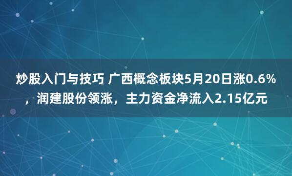 炒股入门与技巧 广西概念板块5月20日涨0.6%，润建股份领涨，主力资金净流入2.15亿元