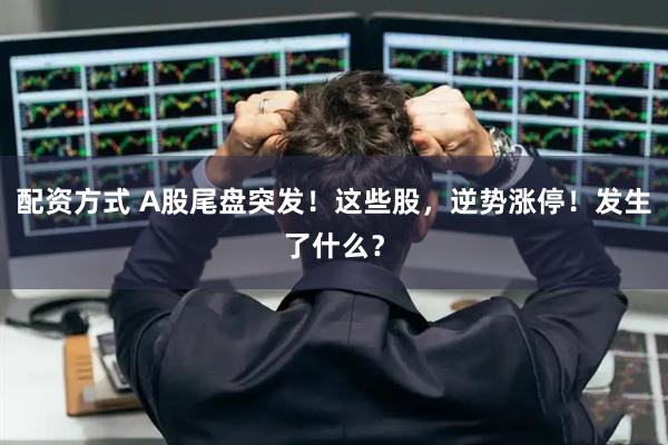 配资方式 A股尾盘突发！这些股，逆势涨停！发生了什么？
