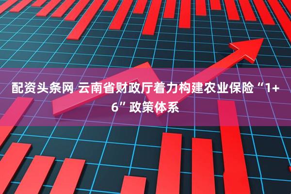 配资头条网 云南省财政厅着力构建农业保险“1+6”政策体系