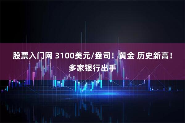 股票入门网 3100美元/盎司！黄金 历史新高！多家银行出手