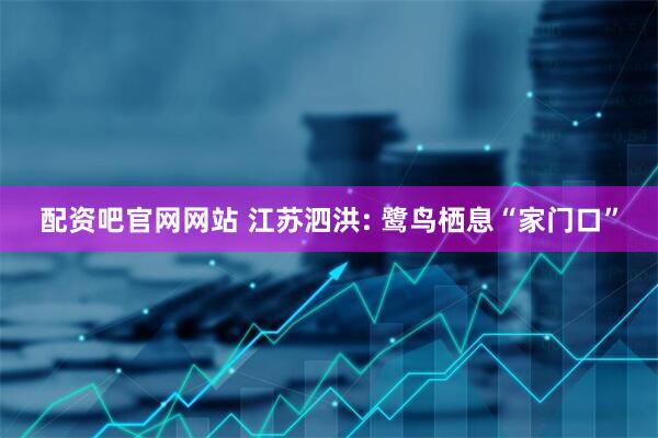 配资吧官网网站 江苏泗洪: 鹭鸟栖息“家门口”