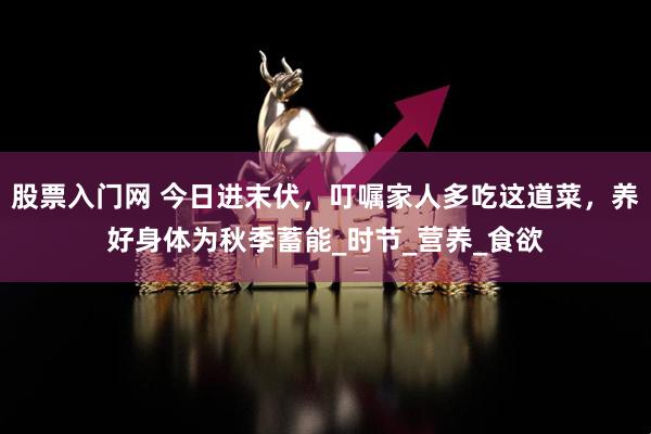 股票入门网 今日进末伏，叮嘱家人多吃这道菜，养好身体为秋季蓄能_时节_营养_食欲